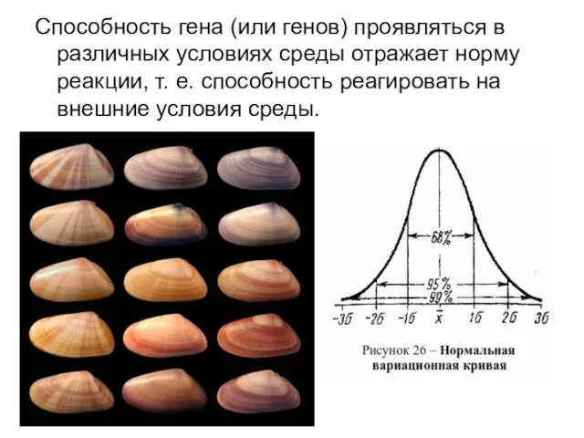 Способность гена (или генов) проявляться в различных условиях среды отражает норму