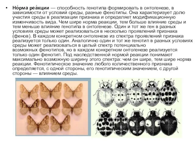 Но́рма реа́кции — способность генотипа формировать в онтогенезе, в зависимости от