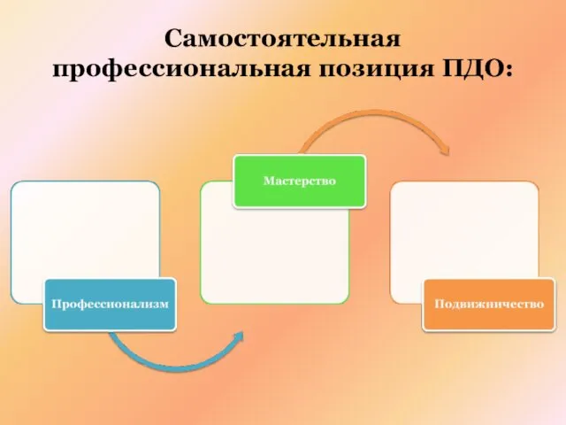 Самостоятельная профессиональная позиция ПДО: