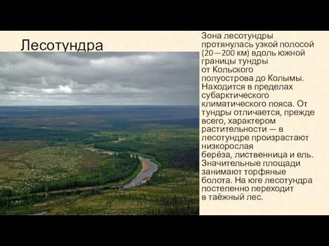 Лесотундра Зона лесотундры протянулась узкой полосой (20—200 км) вдоль южной границы