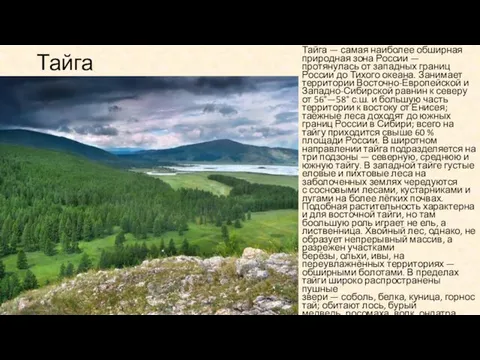 Тайга Тайга — самая наиболее обширная природная зона России — протянулась