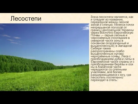 Лесостепи Зона лесостепи является, как и следует из названия, переходной между