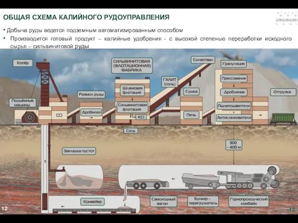 ОБЩАЯ СХЕМА КАЛИЙНОГО РУДОУПРАВЛЕНИЯ Добыча руды ведется подземным автоматизированным способом Производится