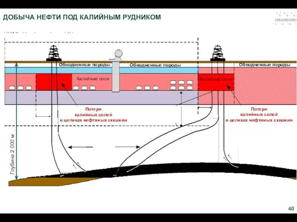 ДОБЫЧА НЕФТИ ПОД КАЛИЙНЫМ РУДНИКОМ Потери калийных солей в целиках нефтяных