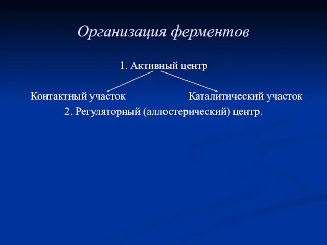 Организация ферментов 1. Активный центр Контактный участок Каталитический участок 2. Регуляторный (аллостерический) центр.