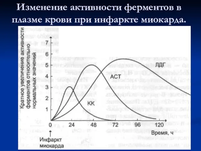 Изменение активности ферментов в плазме крови при инфаркте миокарда.