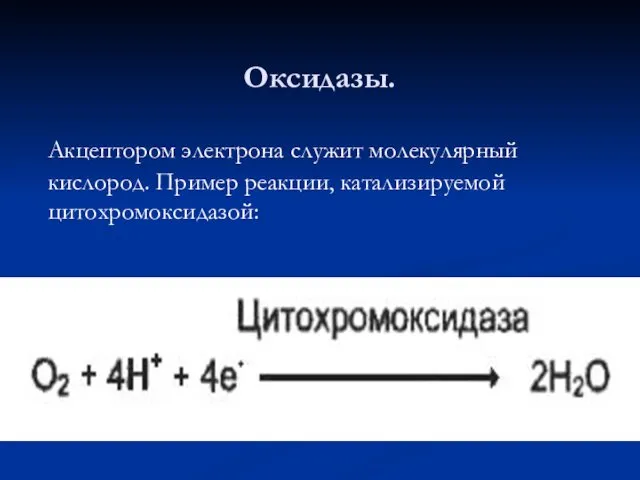 Оксидазы. Акцептором электрона служит молекулярный кислород. Пример реакции, катализируемой цитохромоксидазой: