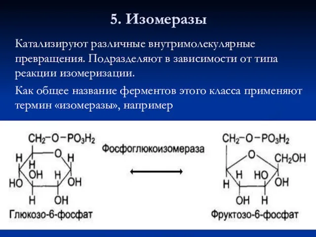 5. Изомеразы Катализируют различные внутримолекулярные превращения. Подразделяют в зависимости от типа