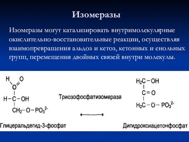 Изомеразы могут катализировать внутримолекулярные окислительно-восстановительные реакции, осуществляя взаимопревращения альдоз и кетоз,