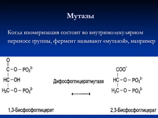 Когда изомеризация состоит во внутримолекулярном переносе группы, фермент называют «мутазой», например Мутазы