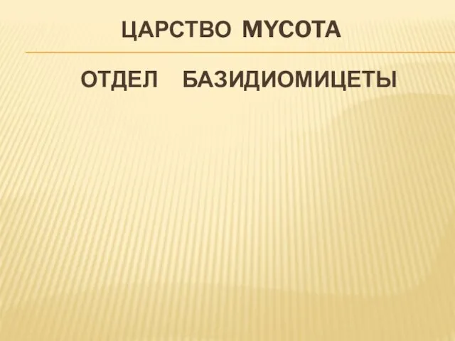 ЦАРСТВО MYCOTA ОТДЕЛ БАЗИДИОМИЦЕТЫ