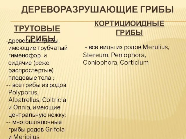 КОРТИЦИОИДНЫЕ ГРИБЫ ТРУТОВЫЕ ГРИБЫ ДЕРЕВОРАЗРУШАЮЩИЕ ГРИБЫ древесные грибы, имеющие трубчатый гименофор