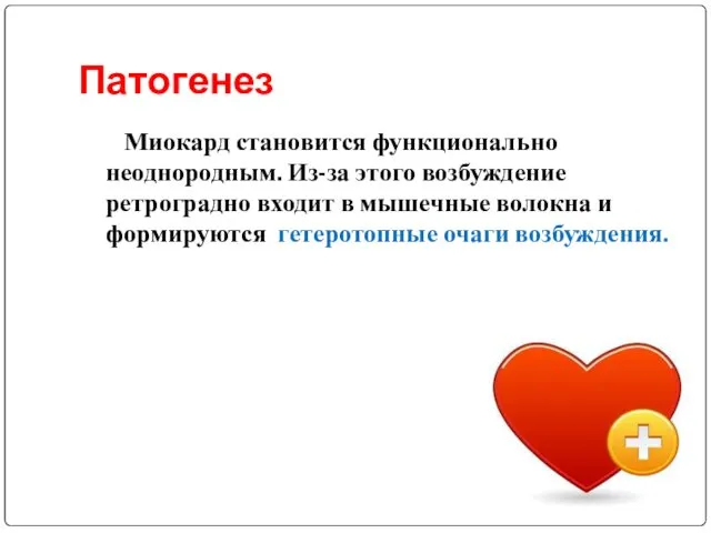 Патогенез Миокард становится функционально неоднородным. Из-за этого возбуждение ретроградно входит в