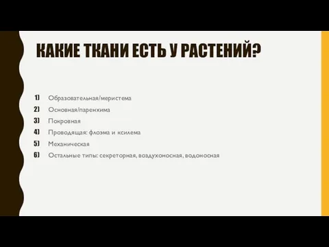 КАКИЕ ТКАНИ ЕСТЬ У РАСТЕНИЙ? Образовательная/меристема Основная/паренхима Покровная Проводящая: флоэма и