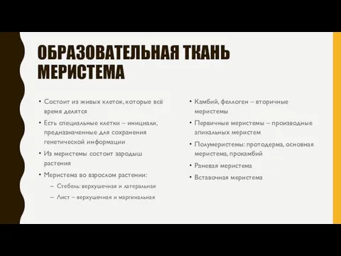 ОБРАЗОВАТЕЛЬНАЯ ТКАНЬ МЕРИСТЕМА Состоит из живых клеток, которые всё время делятся