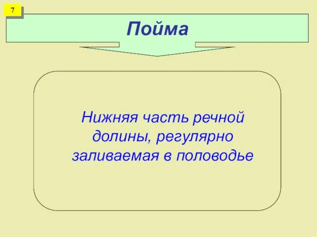 Пойма Нижняя часть речной долины, регулярно заливаемая в половодье 7