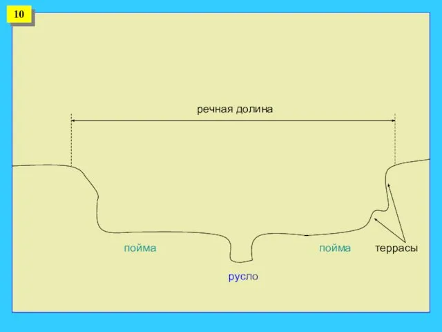 русло пойма пойма террасы речная долина 10