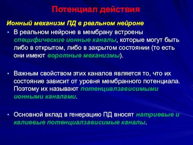 Потенциал действия Ионный механизм ПД в реальном нейроне В реальном нейроне