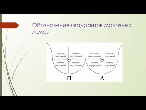 Обозначение квадрантов молочных желез