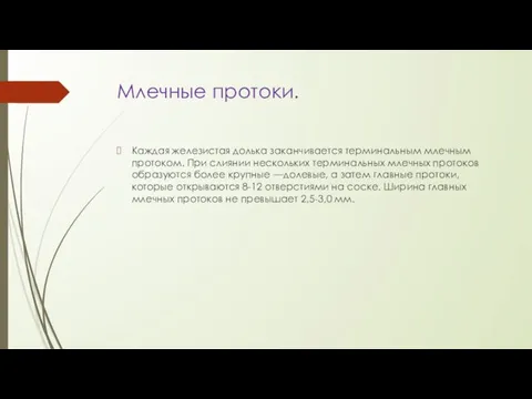 Млечные протоки. Каждая железистая долька заканчивается терминальным млечным протоком. При слиянии