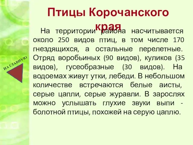 Птицы Корочанского края На территории района насчитывается около 250 видов птиц,