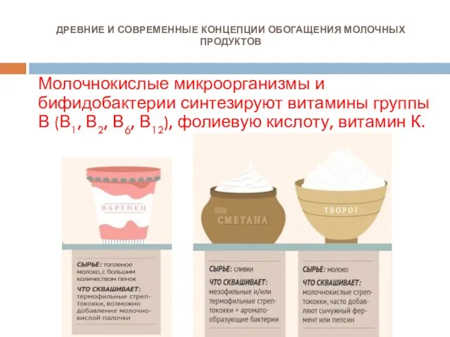 ДРЕВНИЕ И СОВРЕМЕННЫЕ КОНЦЕПЦИИ ОБОГАЩЕНИЯ МОЛОЧНЫХ ПРОДУКТОВ Молочнокислые микроорганизмы и бифидобактерии