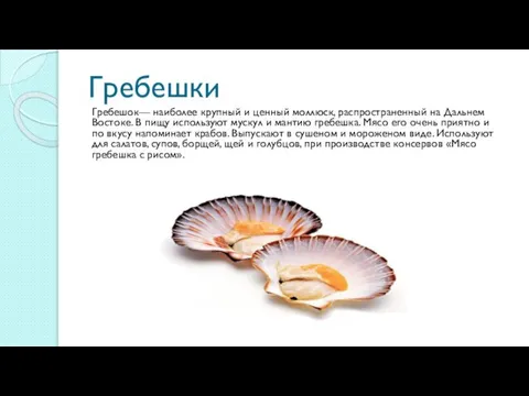 Гребешки Гребешок— наиболее крупный и ценный моллюск, распространенный на Дальнем Востоке.