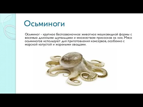 Осьминоги Осьминог - крупное беспозвоночное животное мешковидной формы с восемью длинными