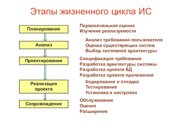 Этапы жизненного цикла ИС Планирование Анализ Проектирование Реализация проекта Сопровождение Первоначальная