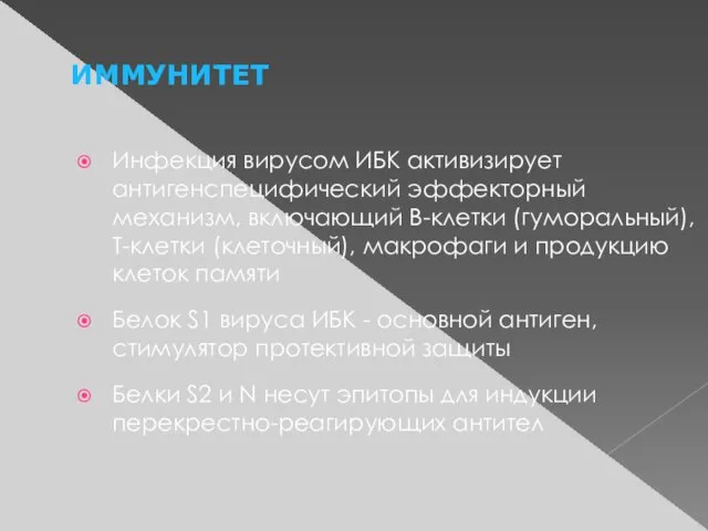 ИММУНИТЕТ Инфекция вирусом ИБК активизирует антигенспецифический эффекторный механизм, включающий В-клетки (гуморальный),