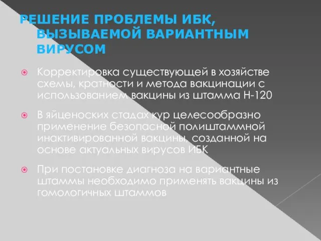 РЕШЕНИЕ ПРОБЛЕМЫ ИБК, ВЫЗЫВАЕМОЙ ВАРИАНТНЫМ ВИРУСОМ Корректировка существующей в хозяйстве схемы,