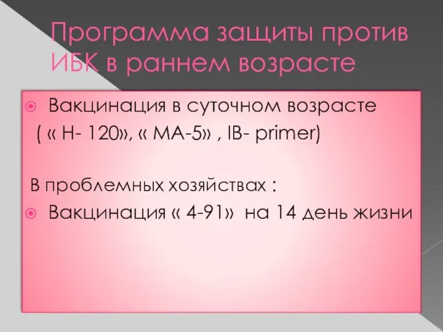 Программа защиты против ИБК в раннем возрасте Вакцинация в суточном возрасте