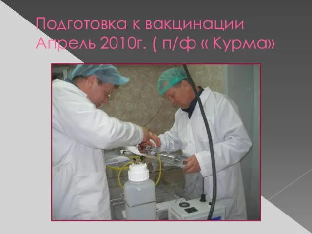 Подготовка к вакцинации Апрель 2010г. ( п/ф « Курма»