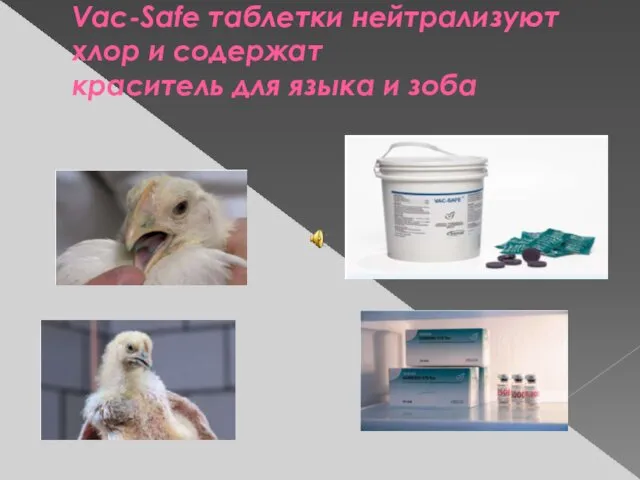 Vac-Safe таблетки нейтрализуют хлор и содержат краситель для языка и зоба