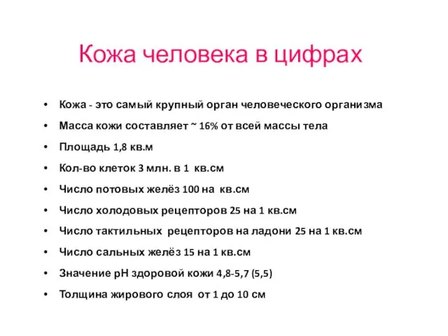 Кожа человека в цифрах Кожа - это самый крупный орган человеческого