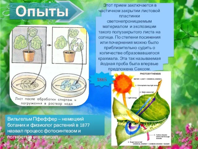 Опыты Этот прием заключается в частичном закрытии листовой пластинки светонепроницаемым материалом