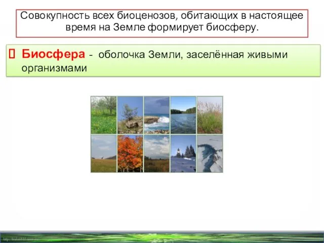 Совокупность всех биоценозов, обитающих в настоящее время на Земле формирует биосферу.
