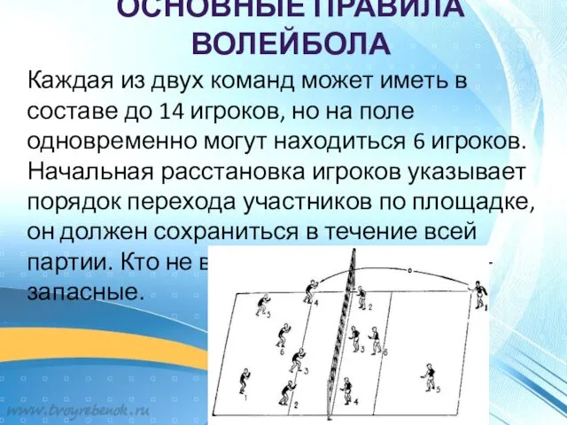 ОСНОВНЫЕ ПРАВИЛА ВОЛЕЙБОЛА Каждая из двух команд может иметь в составе