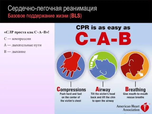 Сердечно-легочная реанимация Базовое поддержание жизни (BLS) «СЛР проста как С–А–B»! С