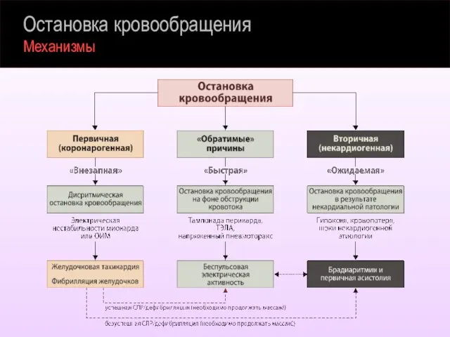 Остановка кровообращения Механизмы