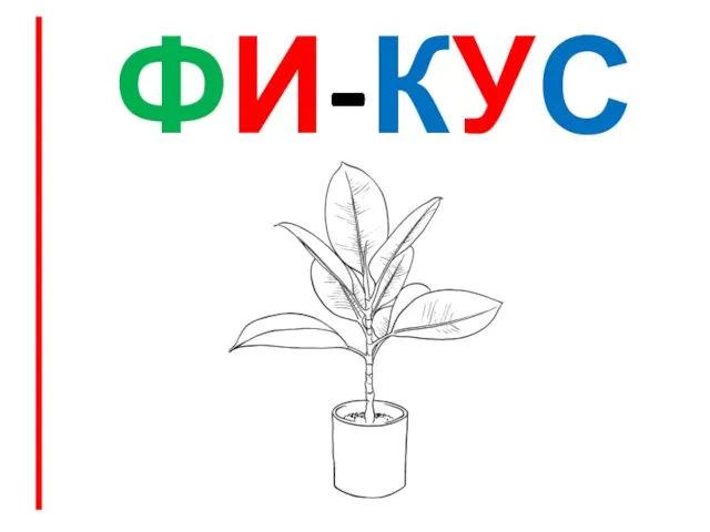 ФИ-КУС