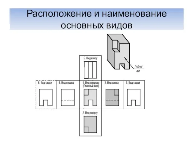 Расположение и наименование основных видов