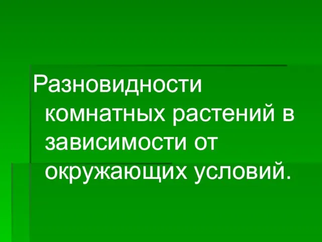 Разновидности комнатных растений в зависимости от окружающих условий.