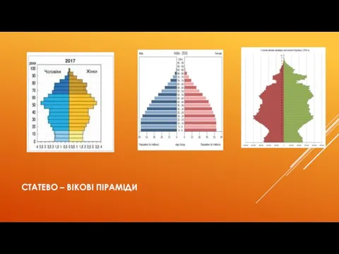 СТАТЕВО – ВІКОВІ ПІРАМІДИ