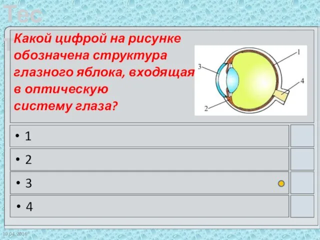 10.04.2016 Какой цифрой на рисунке обозначена структура глазного яблока, входящая в