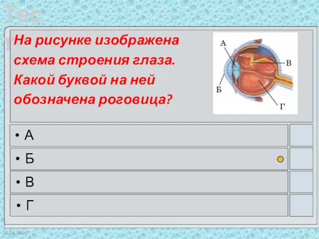 10.04.2016 На рисунке изображена схема строения глаза. Какой буквой на ней