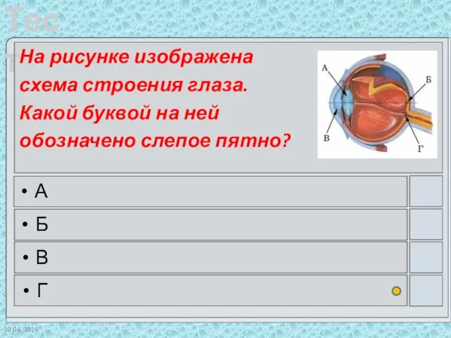 10.04.2016 На рисунке изображена схема строения глаза. Какой буквой на ней