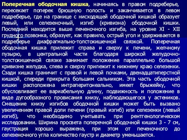 Поперечная ободочная кишка, начинаясь в правом подреберье, пересекает поперек брюшную полость