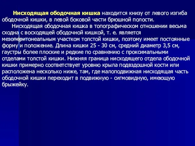 Нисходящая ободочная кишка находится книзу от левого изгиба ободочной кишки, в