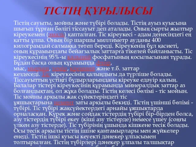 ТІСТІҢ ҚҰРЫЛЫСЫ Тістің сауыты, мойны және түбірі болады. Тістің ауыз қуысына